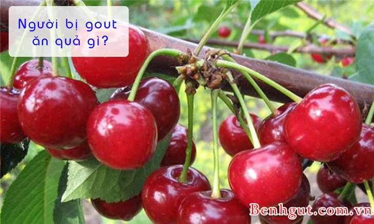 Người bị bệnh gout nên ăn hoa quả gì? Giải đáp của chuyên gia