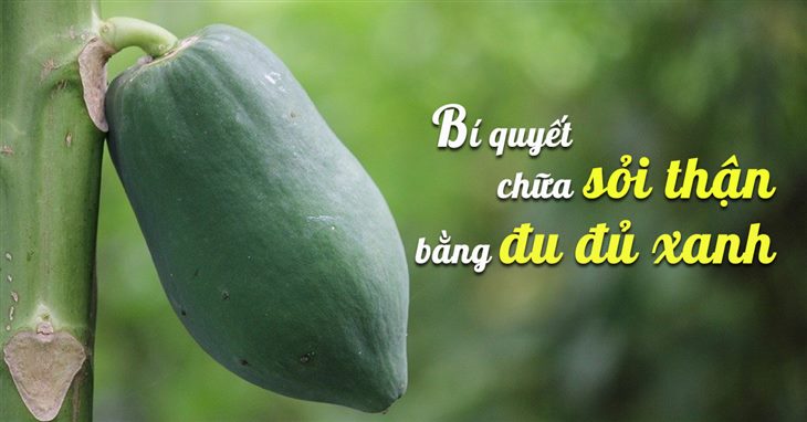 Chữa sỏi thận bằng đu đủ xanh có được không? Chuyên gia Vũ Thị Khánh Vân giải đáp