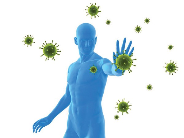 Hệ miễn dịch là gì? Hệ miễn dịch có vai trò như thế nào đối với cơ thể?