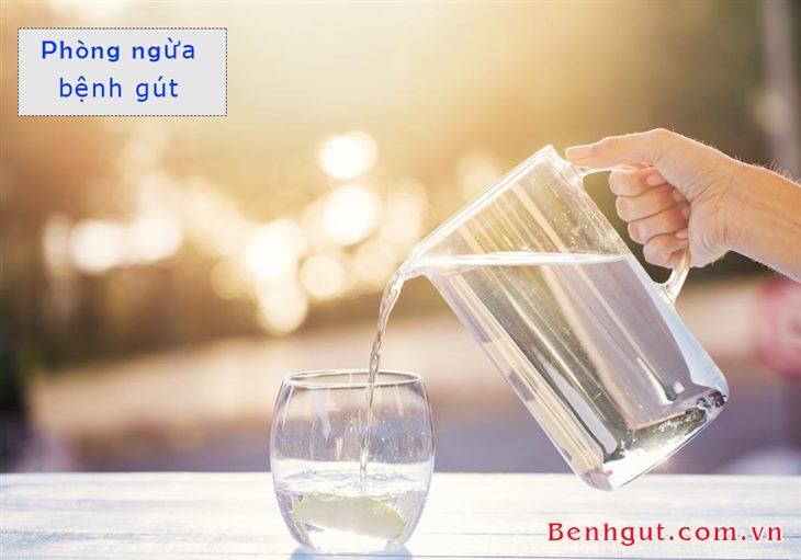 Mách bạn chi tiết về chế độ ăn uống giúp phòng ngừa bệnh gút hiệu quả