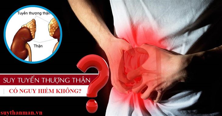 Bệnh suy tuyến thượng thận có nguy hiểm không? Xem ngay để biết