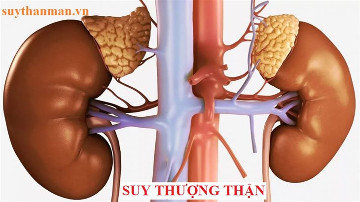 Suy thượng thận có đáng sợ không? Dùng Ích Thận Vương có tốt không?