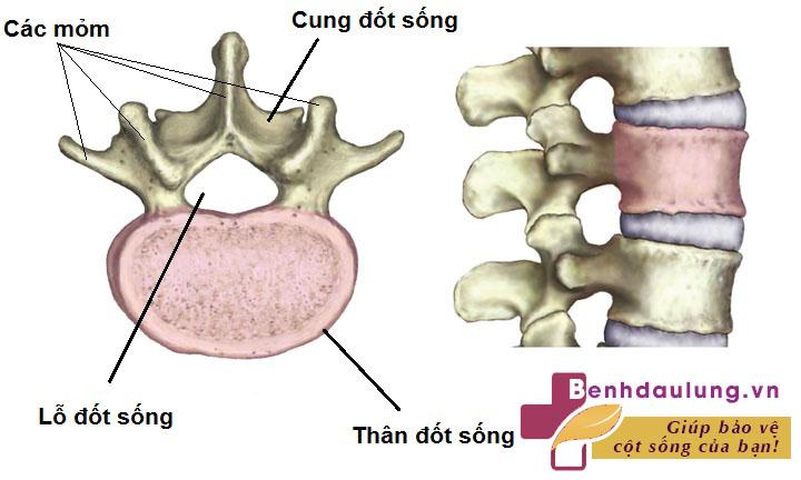 THẮC MẮC: Cần làm gì khi bị thoái hóa đốt sống thắt lưng? 