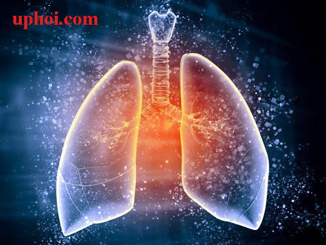 Ung thư phổi không tế bào nhỏ - Nguyên nhân, triệu chứng và phương pháp điều trị hiệu quả