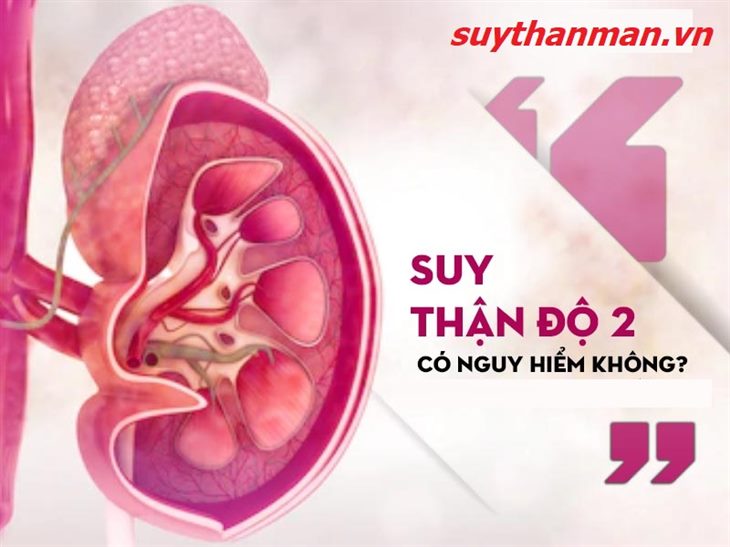 Suy thận giai đoạn 2 có nguy hiểm không? Xem ngay tư vấn của chuyên gia