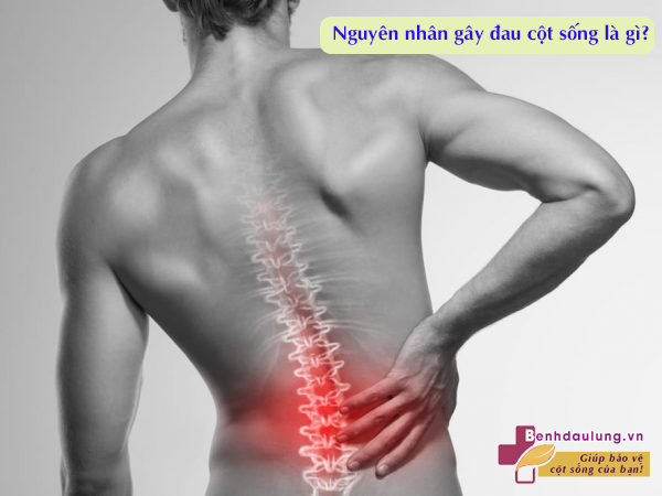 Bị đau cột sống khám ở đâu HIỆU QUẢ, NHANH CHÓNG?  