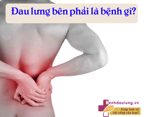 Đau lưng bên phải là biểu hiện của bệnh gì? ĐỌC NGAY  