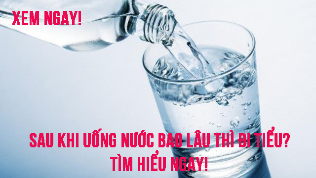 Sau khi uống nước bao lâu thì đi tiểu? TÌM HIỂU NGAY!
