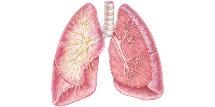 Người bị ung thư phổi đã phẫu thuật và hóa trị liệu, dùng sản phẩm thảo dược Tumolung được không?