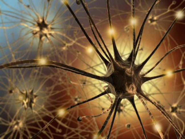 Thành phần của Kinh Vương Não Bộ - TPCN từ thảo dược đẩy lùi di chứng não