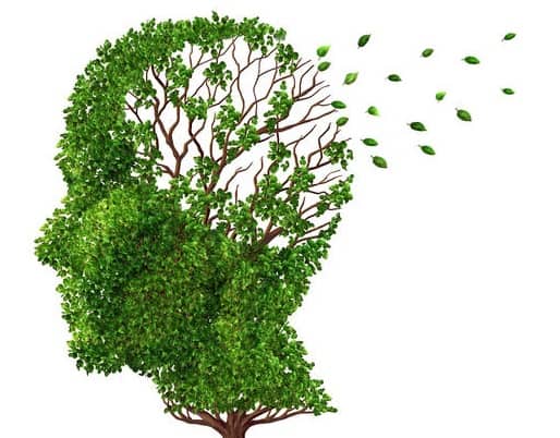 Sa sút trí tuệ là tên gọi chung của các bệnh gây suy giảm trí nhớ, khả năng ngôn ngữ và tư duy