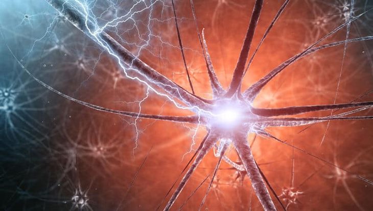 Kinh Vương Não Bộ tăng cường dẫn truyền và bảo vệ các tế bào thần kinh