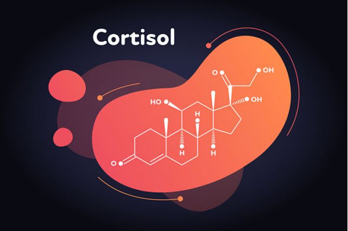 Stress nặng khiến tuyến thượng thận tiết nhiều cortisol