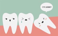 Mọc răng khôn có ý nghĩa gì? TS Phạm Như Hải phân tích