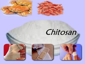 Nghiên cứu một số tác dụng của Chitosan
