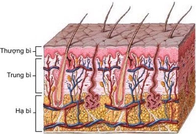 Da nhăn nheo, chảy xệ, rạn da - Những điều chị em cần biết