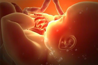 Tuyến giáp có vai trò như thế nào đối với thai nhi?