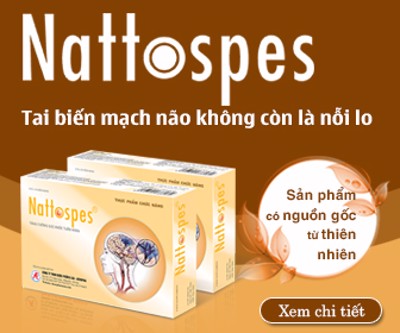 GS.TS Nguyễn Văn Thông đánh giá hiệu quả của Nattospes trong dự phòng đột quỵ não 