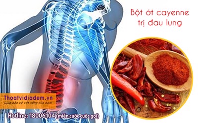 Bột ớt cayenne trị đau lưng dưới hay hơn cả thuốc tây 