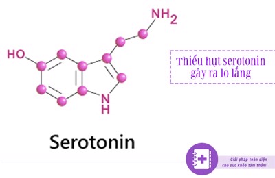  Serotonin - Chìa khóa giúp bạn vượt qua sự lo lắng tiêu cực