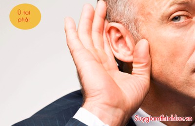 Bị ù tai phải kéo dài, đừng bỏ qua 4 bài thuốc quý từ thảo dược