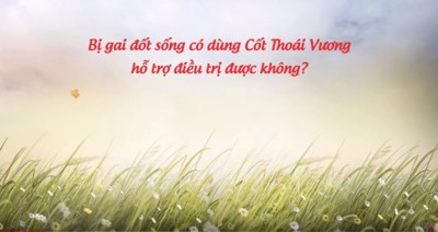 Bị gai đốt sống có dùng Cốt Thoái Vương hỗ trợ điều trị được không?