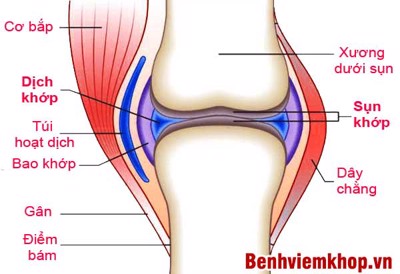 Đau đầu gối khi đứng lên ngồi xuống là dấu hiệu cảnh báo bệnh gì? XEM NGAY!