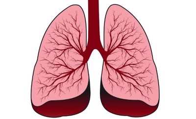 Viêm phổi và viêm phế quản phân biệt với nhau như thế nào? TS Hoàng Văn Huấn tư vấn