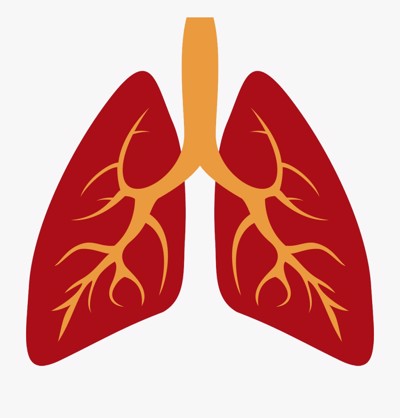 Nguyên nhân gây viêm phổi là gì? TS Hoàng Văn Huấn tư vấn