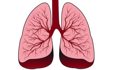 Tại sao viêm phổi giai đoạn đầu thường có các triệu chứng ho có đờm, khó thở, thở khò khè?