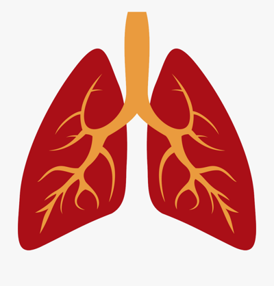 Việc điều trị viêm phổi hiện nay được chỉ định dựa trên những nguyên tắc nào?
