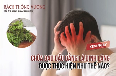 Cách chữa đau đầu bằng lá đinh lăng - Bạn đã biết chưa?