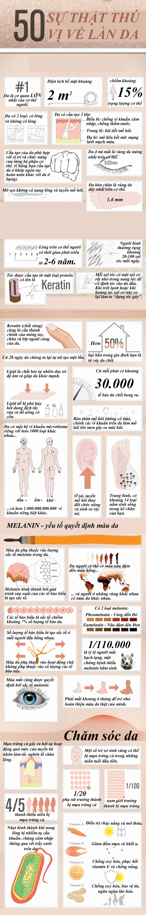 Bạn có biết - 50 sự thật thú vị về làn da