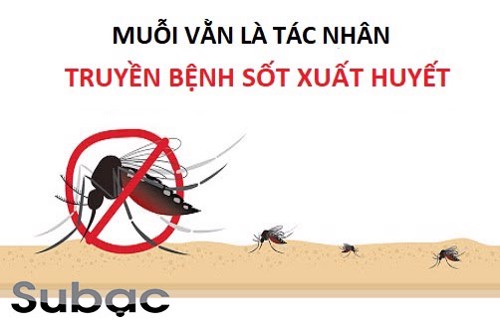 Sốt xuất huyết có uống thuốc cảm được không? Bật mí thảo dược giúp cải thiện bệnh hiệu quả