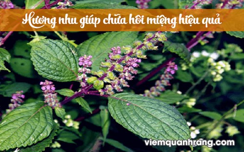 Chữa hôi miệng cực nhanh chỉ nhờ 6 cách SIÊU ĐƠN GIẢN này!