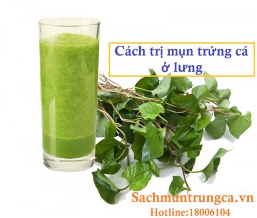 Các đấng mày râu đã biết 3 cách trị mụn trứng cá ở lưng cực hiệu quả này chưa?