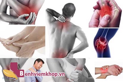 Chữa thoái hóa khớp bằng rượu rắn có thực sự hiệu quả?