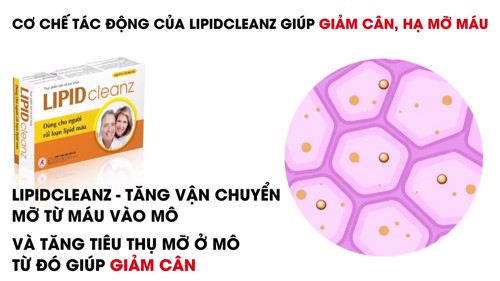 Dùng Lipidcleanz hỗ trợ điều trị rối loạn mỡ máu lâu dài có tốt không?