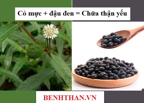 Mách bạn 3 cách chữa thận yếu bằng thuốc nam ngay TẠI NHÀ. Click xem ngay