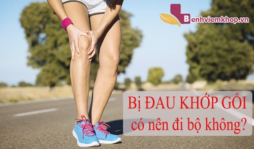 Bị ĐAU KHỚP GỐI có nên đi bộ không? Vấn đề không của riêng ai!