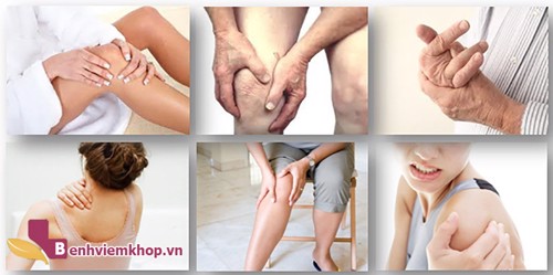 Các loại cây chữa ĐAU NHỨC XƯƠNG KHỚP nên “tích trữ” trong nhà