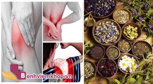 Cách chữa đau xương khớp từ 3 loại cây thuốc nam không phải ai cũng biết! Xem ngay tại đây!