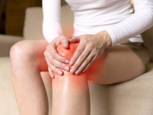 Mách bạn: 3 cách chữa đau khớp gối bằng lá lốt đơn giản tại nhà