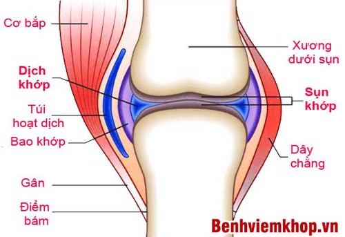 Đau đầu gối khi đứng lên ngồi xuống là dấu hiệu cảnh báo bệnh gì? XEM NGAY!