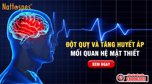 Đột quỵ và tăng huyết áp có mối liên hệ mật thiết – Phương pháp cải thiện toàn diện nhờ thảo dược!