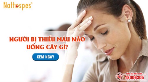 Thiếu máu não uống gì? 5 loại nước uống bổ dưỡng cần ghi nhớ