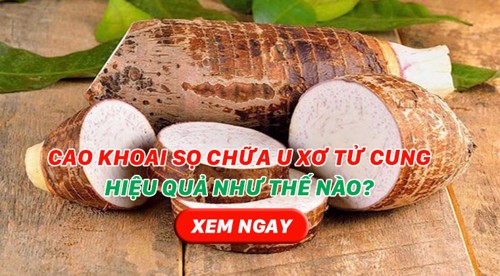 Cao khoai sọ chữa u xơ tử cung hiệu quả như thế nào? Xem ngay!