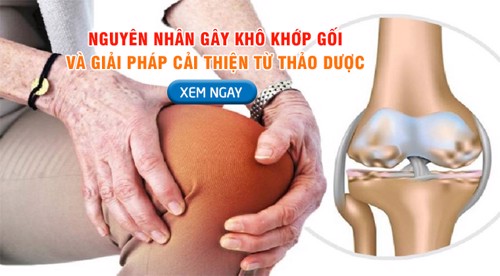 Nguyên nhân gây khô khớp gối và giải pháp cải thiện từ thảo dược