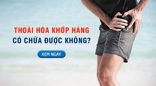 Giải đáp: “Thoái hóa khớp háng có chữa được không?” và cách cải thiện hiệu quả từ thiên nhiên