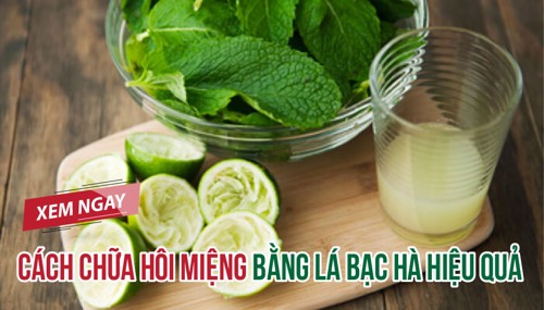 Cách chữa hôi miệng bằng lá bạc hà hiệu quả. XEM NGAY!